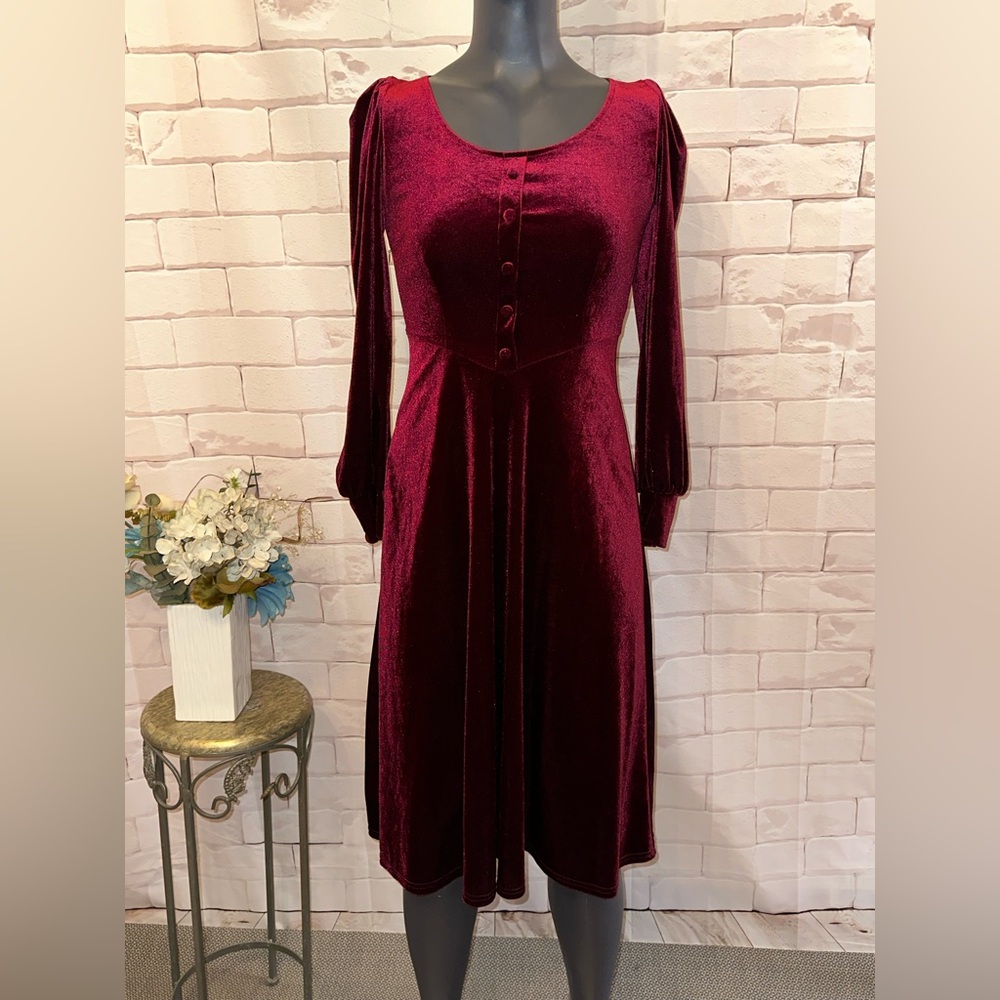 Elegant Burgundy Velvet Dress